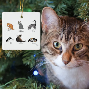 Grappige kattencommando's geïllustreerde trainings keramisch ornament