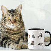 Grappige kattencommando's geïllustreerde trainings mok