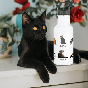 Grappige kattencommando's geïllustreerde trainings waterfles