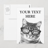 Grappige kattenfoto ansichtkaarten briefkaart (Voorkant / Achterkant)