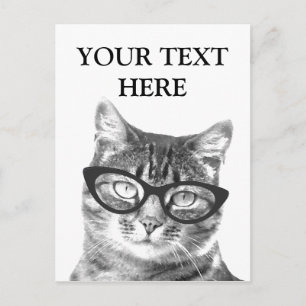 Grappige kattenfoto ansichtkaarten briefkaart