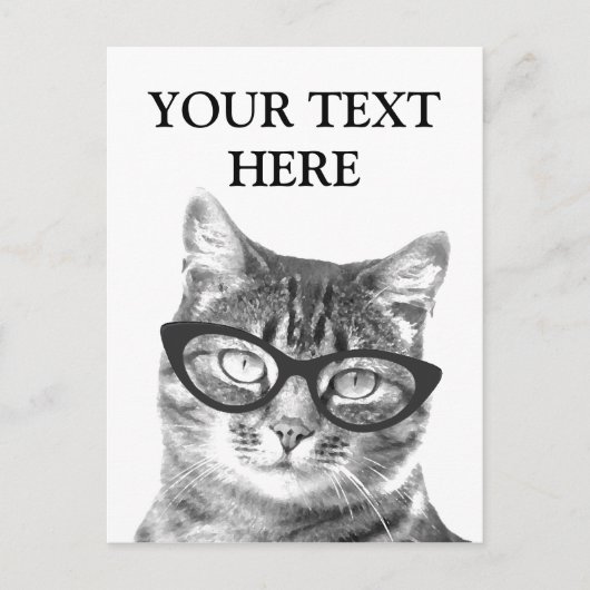 Grappige kattenfoto ansichtkaarten briefkaart (Voorkant)