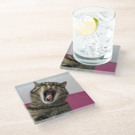 Grappige Kattenfoto Dierenliefhebber Glazen Onderzetter (Schuin)