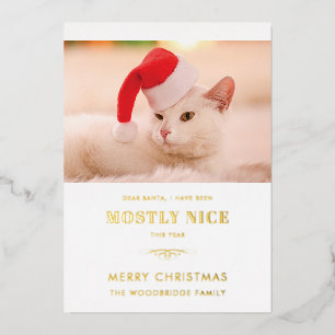 Grappige kattenfoto lieve Sint Kerstmis Folie Feestdagenkaart