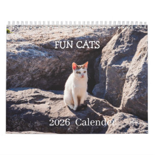 Grappige kattenfotokalender – Snorharen en chaos Kalender