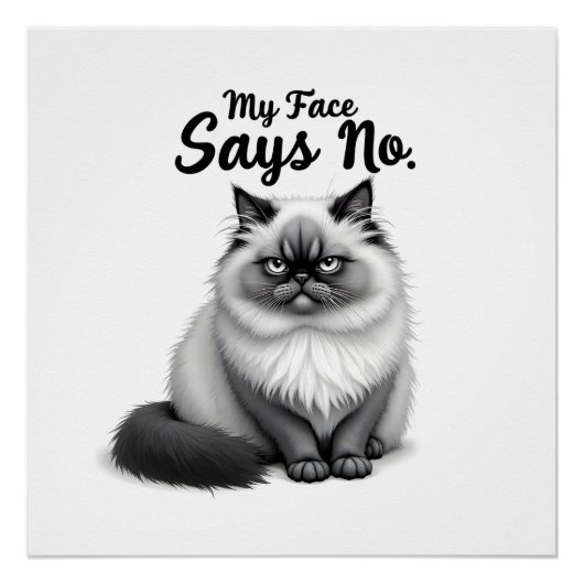 Grappige kattengezicht illustratie – Minimaal knap Perfect Poster (Voorkant)