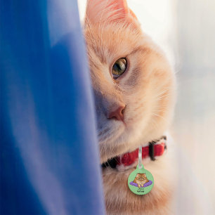 Grappige kattenhouding huisdierpenning