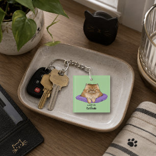 Grappige kattenhouding sleutelhanger