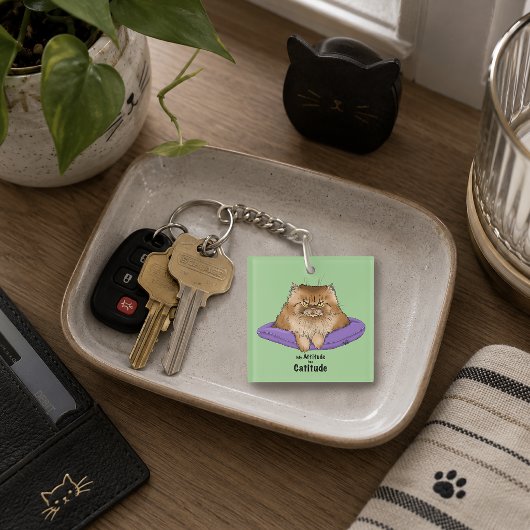 Grappige kattenhouding sleutelhanger