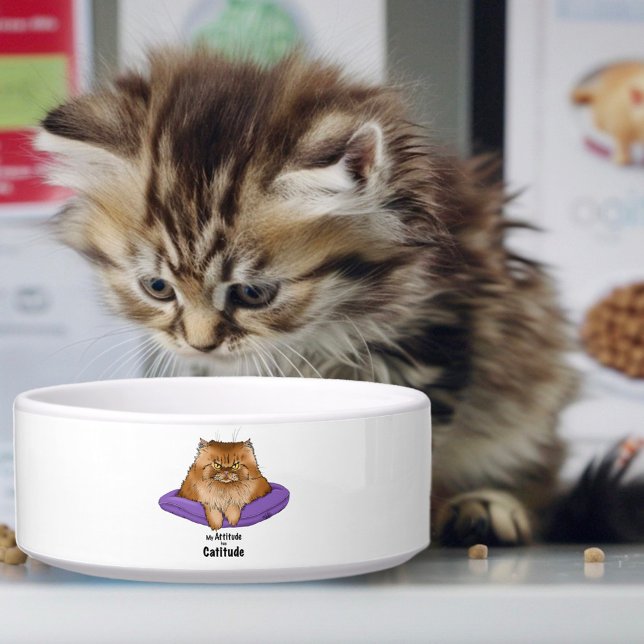 Grappige kattenhouding voerbakje (Creator heeft geüpload)
