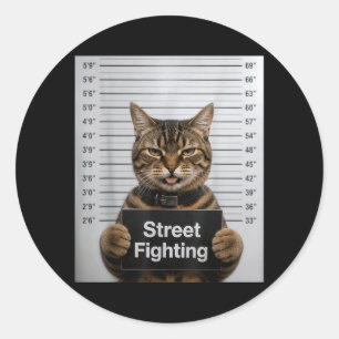 Grappige kattenhumor voor straatvechtende kattenli ronde sticker