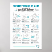 Grappige kattenlichaamstaalposter – kattenstemming poster (Voorkant)