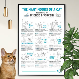 Grappige kattenlichaamstaalposter – kattenstemming poster
