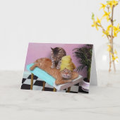 Grappige Kattenmassage Verjaardag Kaart (Gele Bloem)