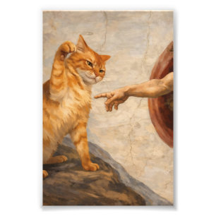 Grappige kattenmeme kunst Creatie van Adam met kat Foto Afdruk