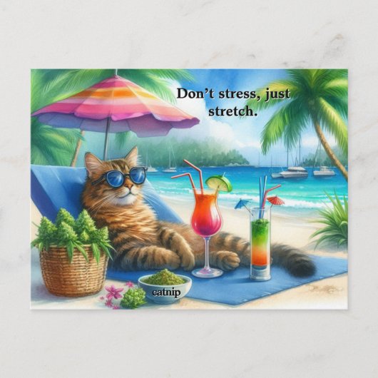 Grappige Kattenslogan Kitten op het Strand Briefkaart (Voorkant)
