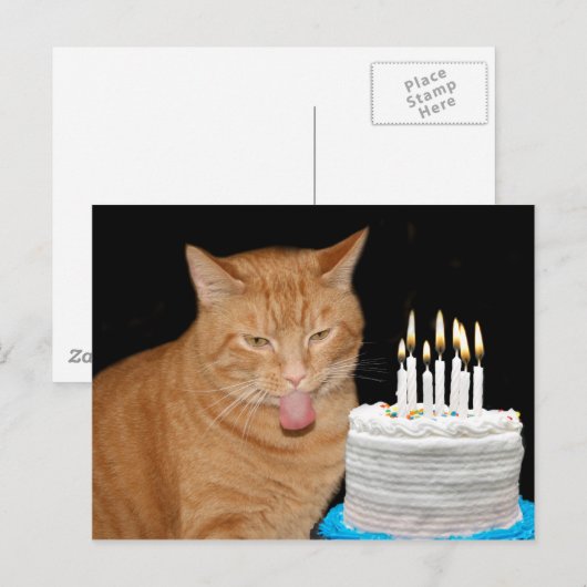 Grappige kattenverjaardag briefkaart (Voorkant / Achterkant)