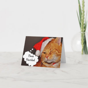 Grappige Kattenvlooien Navidad Feestdagen Kerstmis Kaart