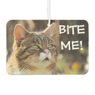 Grappige kattige kat met attitude Bijt in me Luchtverfrisser