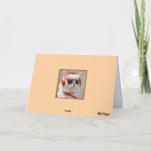 Grappige Katzenjammer Kat Kaart (Achterkant)