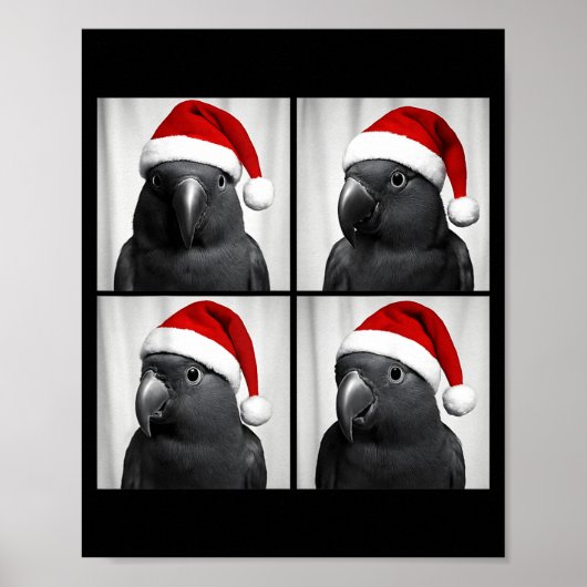 Grappige Kerst Eclectus Papegaai Kerstman Photoboo Poster (Voorkant)
