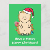 Grappige kerst egel groet feestdagenkaart (Voorkant)