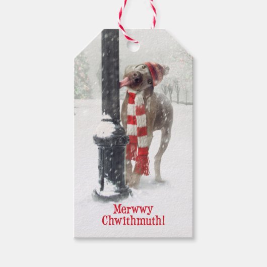 Grappige Kerst Hond Likks Pool Cadeaulabel (Voorkant)