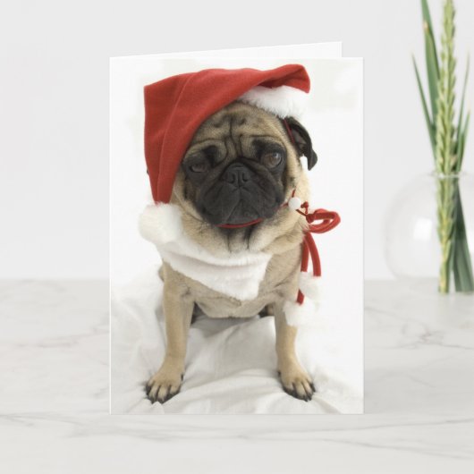 Grappige kerst Kaart - Puggy (Voorkant)