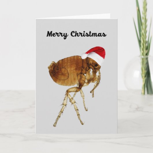 Grappige kerst Kaart voor Pet Lovers (Voorkant)