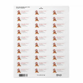 Grappige kerst kip retour adres labels (Full Sheet)