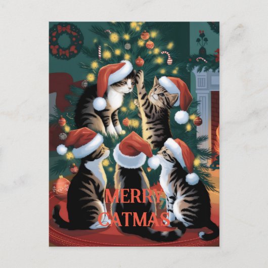 Grappige kerst Schattigee Katten Briefkaart (Voorkant)