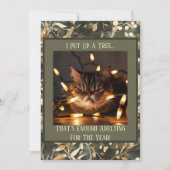 Grappige kerst voor kattenliefhebbers feestdagenkaart (Voorkant)