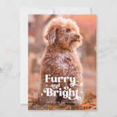 Grappige Kerstfoto met Harige en Heldere Hond Feestdagenkaart (Voorkant)