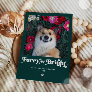 Grappige Kerstfoto van Harige en Bruisende Hond Feestdagenkaart