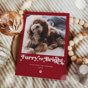 Grappige Kerstfoto van Harige en Heldere Hond Feestdagenkaart