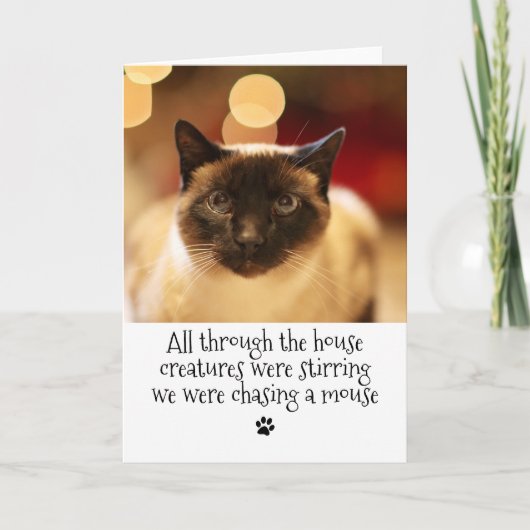 Grappige Kersthuisdierkat Feestdagen Kaart (Voorkant)