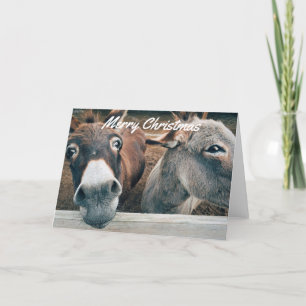 Grappige kerstkaart - Ezel Feestdagen Kaart