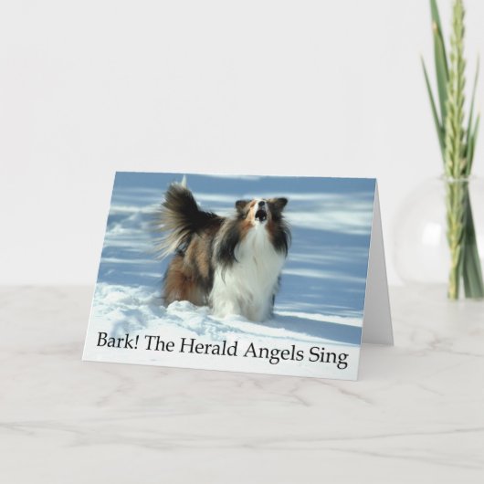 Grappige Kerstkaart Sheltie Feestdagen Kaart (Voorkant)
