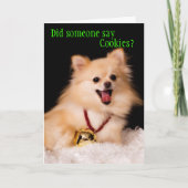 Grappige kerstkaart van de hond feestdagen kaart (Voorkant)