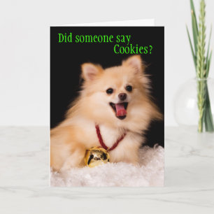 Grappige kerstkaart van de hond feestdagen kaart