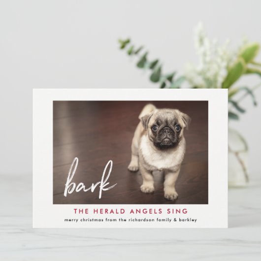 Grappige kerstkaart van de hond | Red (Staand voorkant)