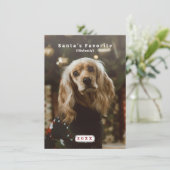Grappige kerstkaart voor huisdieren Sinterklaas Fa (Staand voorkant)