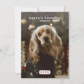 Grappige kerstkaart voor huisdieren Sinterklaas Fa (Voorkant)