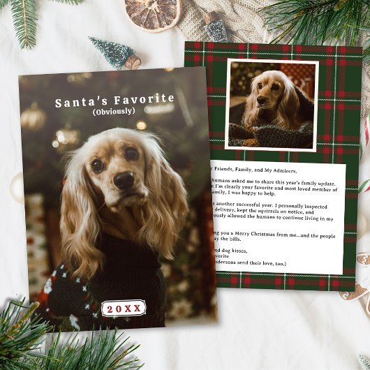 Grappige kerstkaart voor huisdieren Sinterklaas Fa
