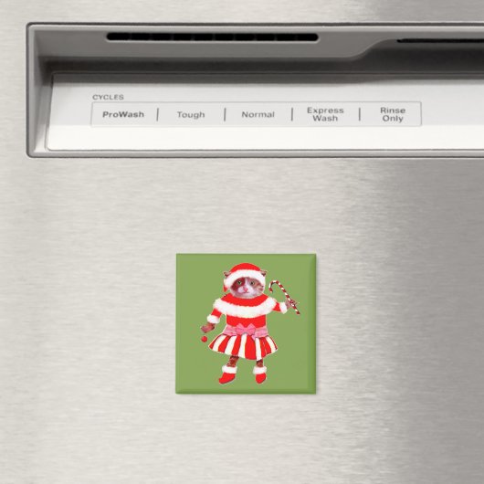grappige kerstkat magneet (Insitu (Vaatwasser))