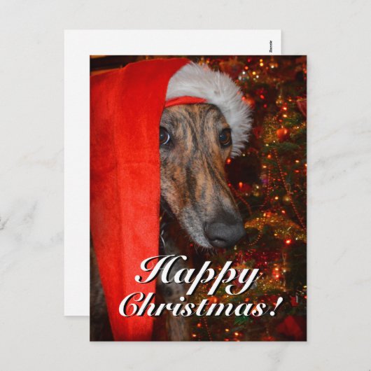 Grappige Kerstman Greyhound Lurcher Feestdagenkaart (Voorkant / Achterkant)