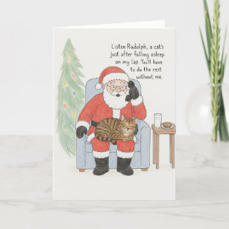 Grappige Kerstman Kat Kaart