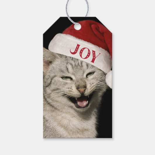 Grappige Kerstman Kat Lach Kerstmis Cadeaulabel (Voorkant)