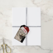 Grappige Kerstman Kat Lach Kerstmis Cadeaulabel (Met Touw)