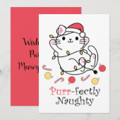 Grappige Kerstman Katten Purrfect Naughty Feestdagenkaart (Voorkant / Achterkant)